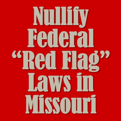 Nullify Federal “Red Flag” Gun Seizure Laws or Orders in Missouri — Enact HB 1651 & SB 1004