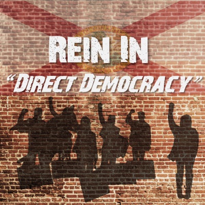 Rein In “Direct Democracy” in Florida — Support HJR 335