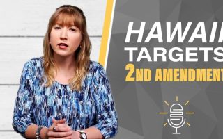 Hawaii Lawmakers Want 2ND Amendment Repeal