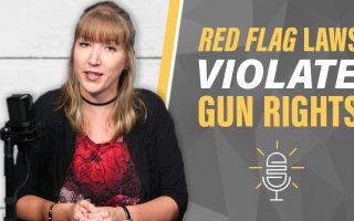 How Red Flag Laws Affect Your Gun Rights