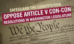 Stop Washington Federal Constitutional Convention Resolution SJM 8011